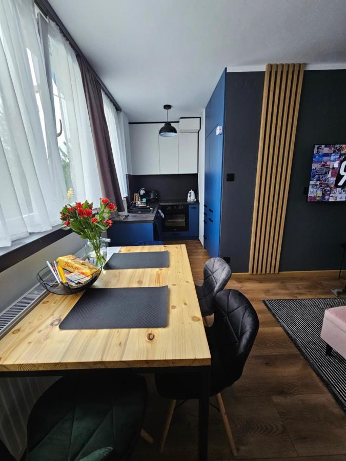 Apartament Leszczynska 29 Bielsko-Biala Exterior photo